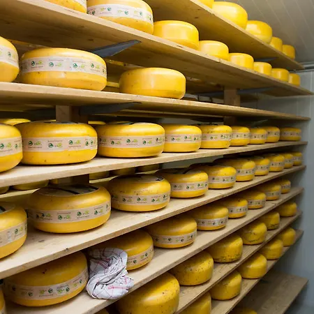 De Vosseburch Langeraar