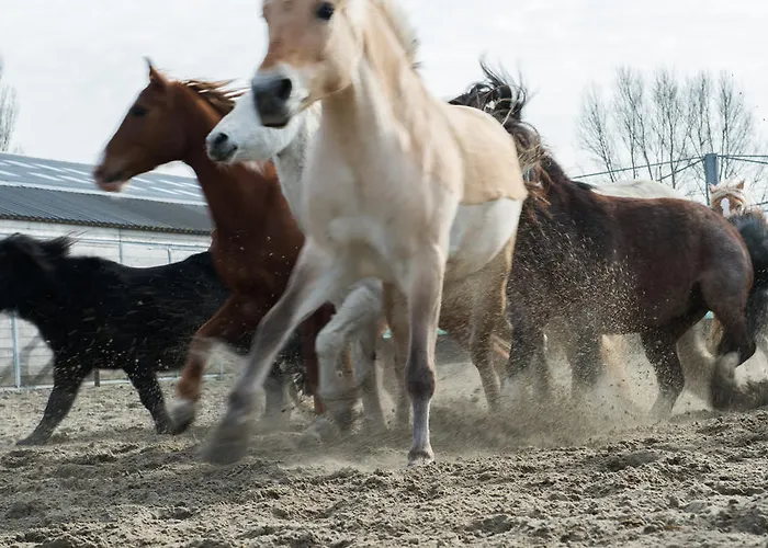 Apartmán De Vosseburch *